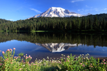 Scenic Mountain | Community Bankers of Washington | Olympia, WA